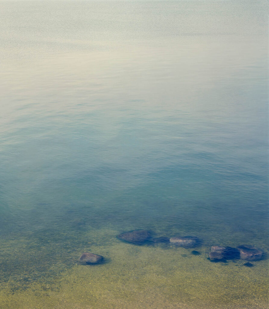 North Fork, Study #1