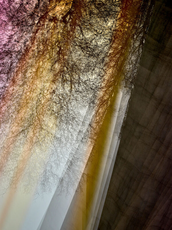 Untitled-VEIN-0201-013