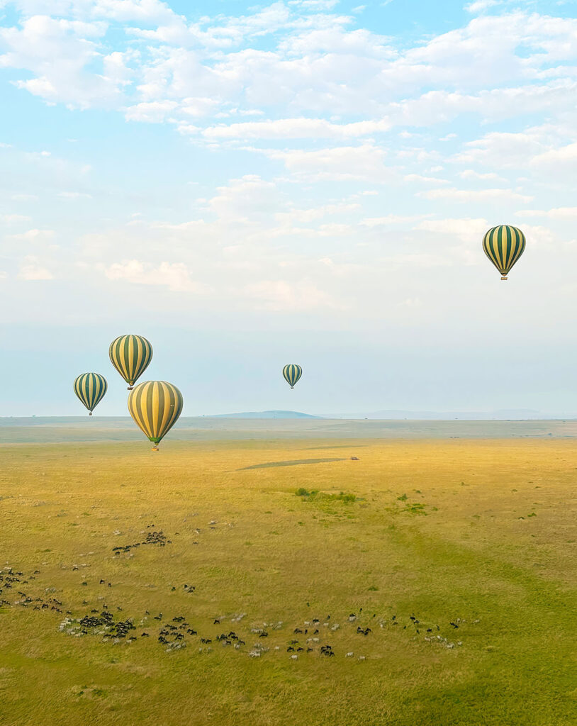 Hot Air Ballon Ride at Dawn