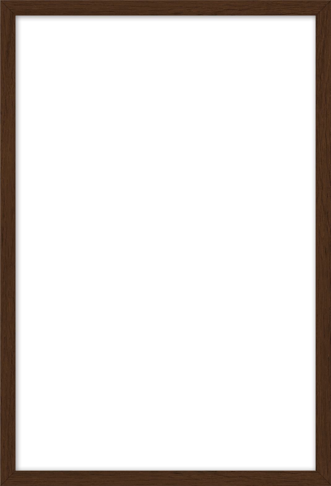 16x24_Frame_V_Walnut